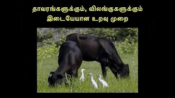 6TH STD SCIENCE TERM-3 UNIT QR CODE VIDEO  4 -  T/M