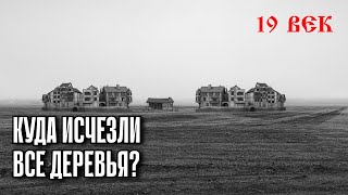 картинка: Куда Исчезли Все Леса В 19 Веке? Самое Страшное Время Нашей Истории
