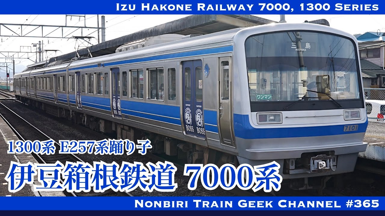 【4K 60fps】伊豆箱根鉄道 7000系 1300系 西武色 E257系 踊り子 駿豆線 いずっぱこ Izu Hakone Railway Sunzu L. 7000 Series【#のんてつ】