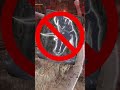 Cool ELDEN RING Colosseum Trick! PvP