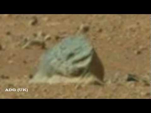 Weird Anomolies Captured By Mars Curiosity 2012 HD