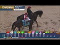 Oaklawn Park Feb 25, 2023 The Rebel