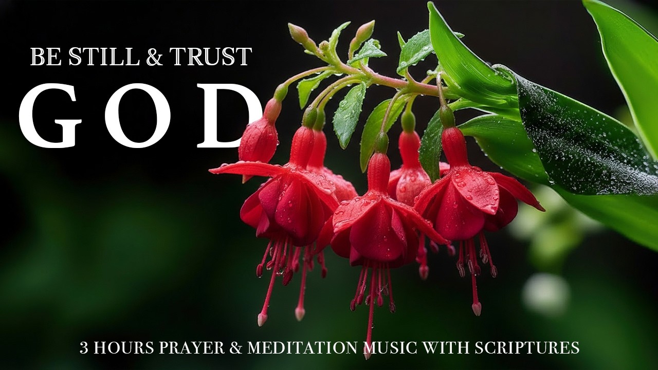 BE STILL & TRUST GOD | Calming Scriptures with Soft Gospel Piano | Christian Harmonies