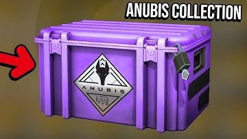 WE MADE THE ANUBIS CASE!