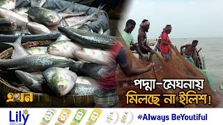 জৌলুশ হারাচ্ছে ইলিশের বাড়িখ্যাত চাঁদপুর | Ilish Price | Hilsha | Chadpur | Ekhon TV