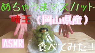 【ASMR】岡山県産マスカット『晴王』が美味しすぎた！！