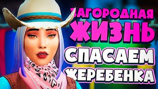 СПАСАЕМ ЖЕРЕБЕНКА - СИМС 4 - The Sims 4 (Загородная Жизнь)