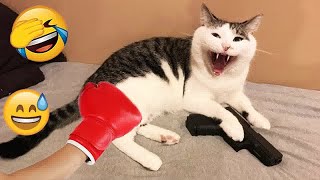Best Funny Dogs and Cats Videos😻🐶Funniest Animal videos 2024😹Part 9