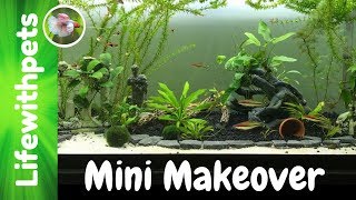 75 Gallon Betta Fish Tank Mini Makeover Betta fish tank makeover. We have added and moved around the decorations in our 75 gallon tank. The betta fish seem to like all the