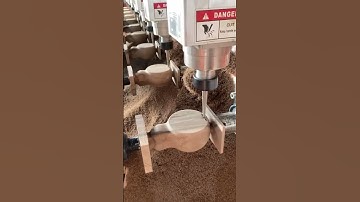 CNC WoodTurning  with Radonix Technology