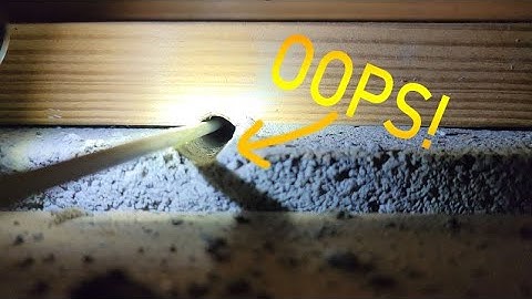 Small Music Venue network cable run, and WIFI using Ubiquiti Unifi
