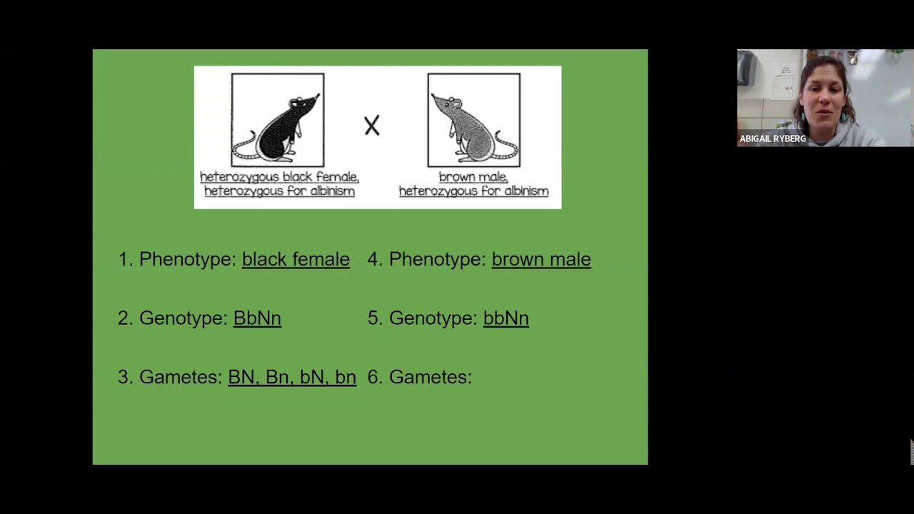 Epistasis lecture - YouTube