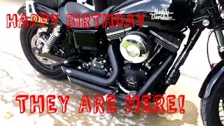 ITS HERE! HAPPY BIRTHDAY!