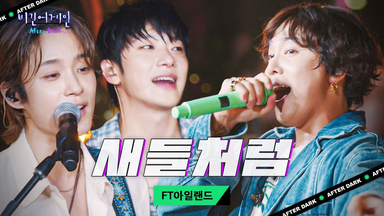 화려한 불빛들 사이로 자유롭게 날아갈 시간! FT아일랜드의 '새들처럼'♬｜비긴어게인 애프터다크