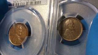 PCGS unboxing - 1909-S VDB cents, Carson City Morgans u0026 more - coin grading results revealed Part 1