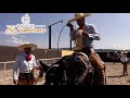 Piales en el Lienzo - Friccion en el Fuste dia 24 - II Campeonato Rancho El Sombrero 2022