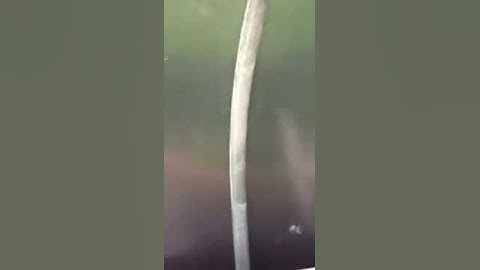 Aquaponic polytunnel build update