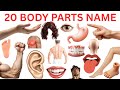 Human Body Parts for Kids | Body Parts Names in Hindi &amp; English | Preschool &amp; Toddler Learning Video