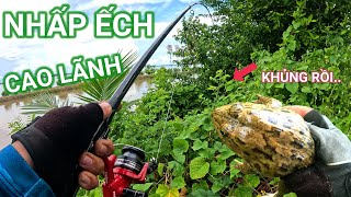 Câu ếch vùng Cao Lãnh - Đồng Tháp || Câu ếch mùa nước nổi (Tập 18)