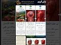 مراحل رشد(جنین در قران)