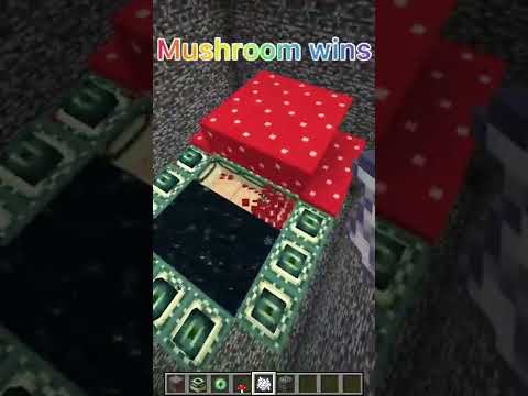 Mushroom vs. end portal