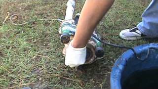 Another Clogged Pump