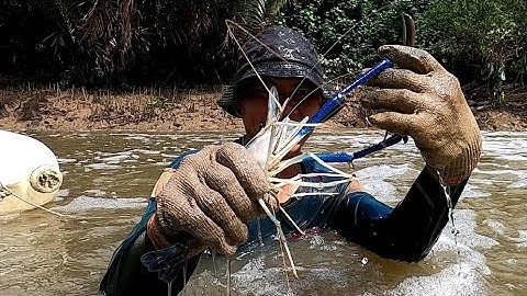 Con Nước Tôm Càng Đã Tới Tay Không Bắt Tôm Càng Là Có Thật /Đạt Nguyễn Cần Giờ