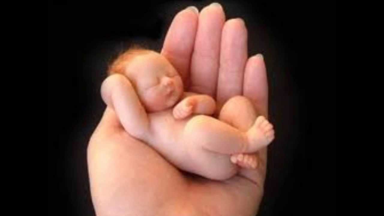 Bioetica Bebe De 500 Gramos Youtube Bioetica Bebe De 500 Gramos Youtube