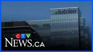 Nutrien Pursing Plans For West Coast Terminal In Washington