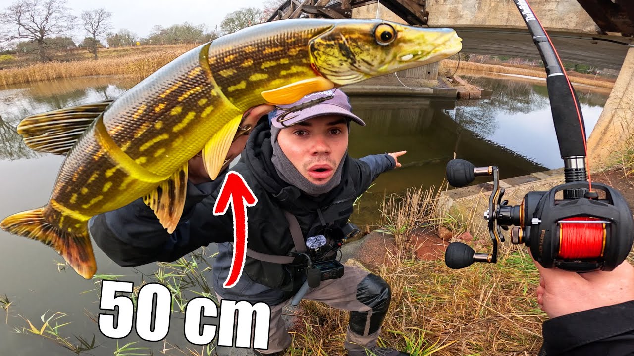 Un leurre de 50 cm pour pêcher les brochets GEANTS du lac !! Ft  @Bar D'écume