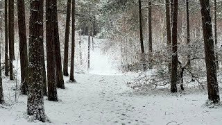 Download Lagu TerschellingTV journaal 10 januari 2026 MP3