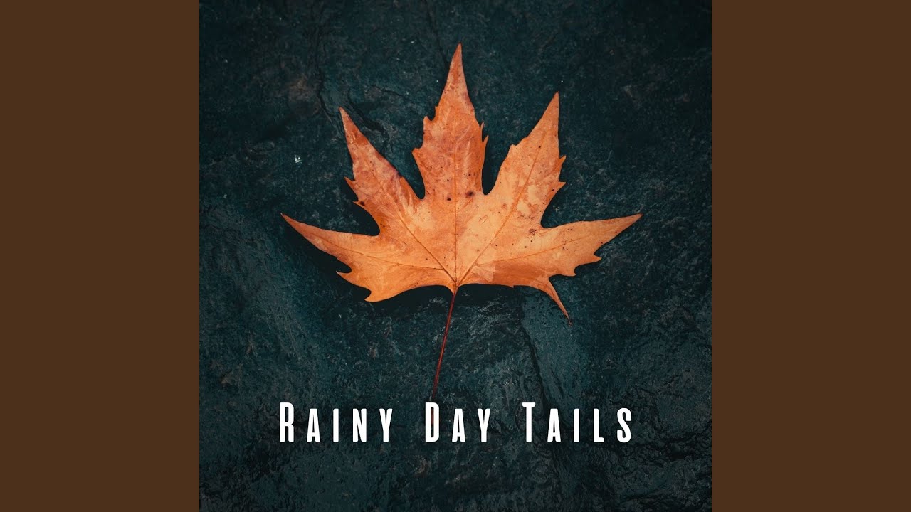 Calming Pet Rain Drops