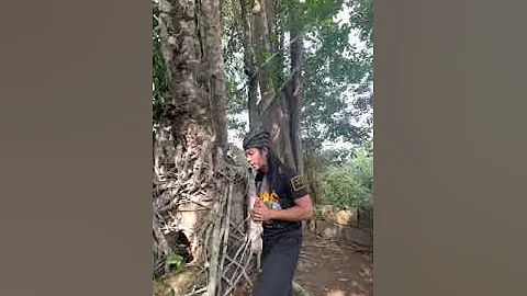 Makam Hang Tuah atau Makam Raja Lang Buana? Firasat saya, ia BUKAN makam Hang Tuah