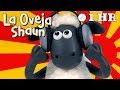 Español Capitulos Completos - La Oveja Shaun (Temporada 1)