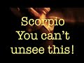 Scorpio ♏️ You Can