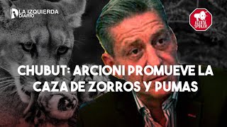 ✋🏼 CHUBUT: OTRA LEY CONTRA EL AMBIENTE | El gobernador Arcioni promueve la caza de zorros y pumas