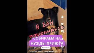 НАШУ ВАРЕЧКУ УКРАЛИ! БАНИМ МОШЕННИКОВ по сборам на животных! ВМЕСТЕ МЫ СИЛА!✊️