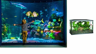 tank-fish ASL