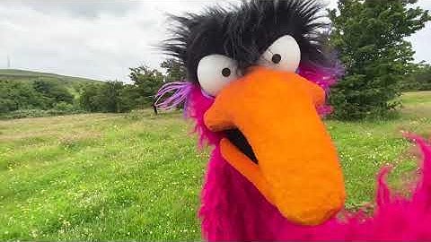 Litter Loathing Puppet has words for people littering in beauty spots!