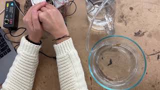 Physical Computing Midterm #7 - The photocell downs the motor