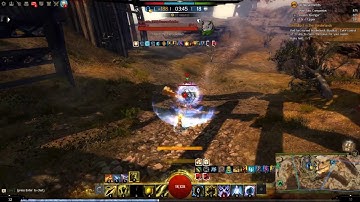Guild Wars 2 Tempest scepter/warhorn WvW pvp