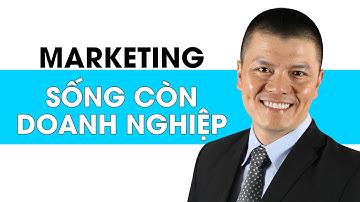 Vai Trò Của Marketing Quyết Định Sống Còn Của Doanh Nghiệp Thời 4.0  | Phạm Ngọc Anh - Mr Why