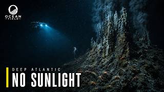 What Lives in the Deep Atlantic Below the Last Light