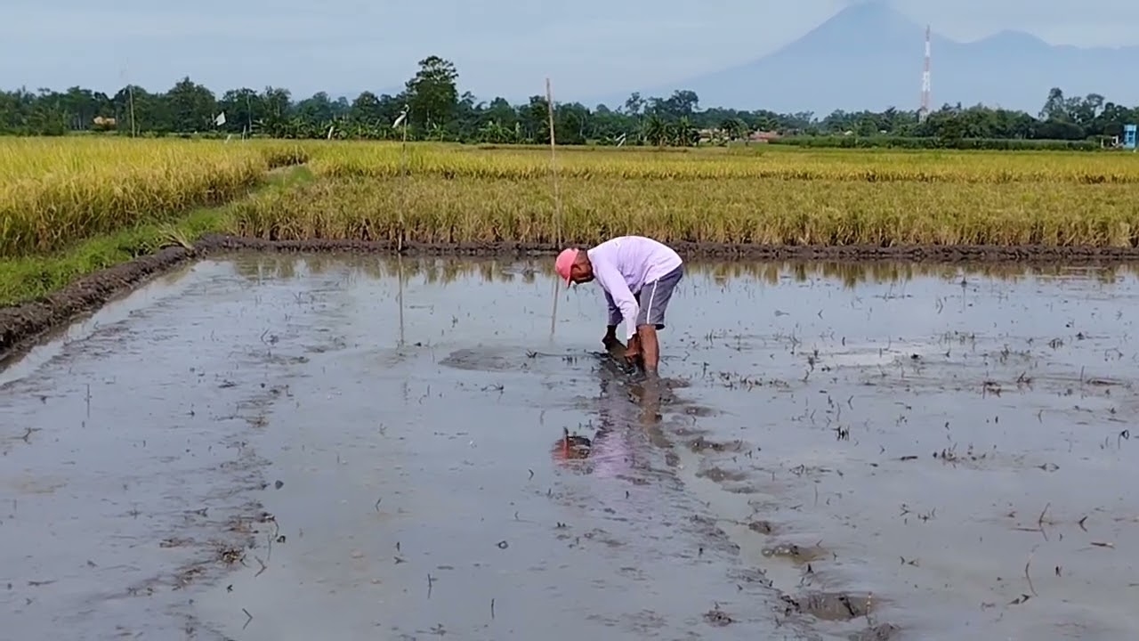 Romadhon hari pertama disambut dengan per-Gluprutan.