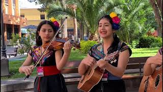 La Azucena Trío Huasteco Las Ampolas Desde San Luis Potosí