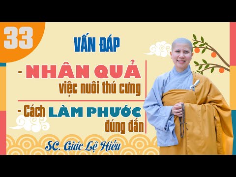 Video: Điều Gì Liên Quan đến Việc Làm Thức ăn ướt Cho Thú Cưng?