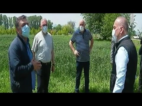 ვითარება მკაცრი კარანტინის ზონებში