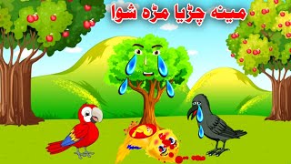 Meena chirya ao Tor kargha pashto cartoon story 2024 | Khan cartoon | meena cartoon | meena chirya |