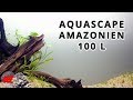 Aquascape aquarium amazonien 100l