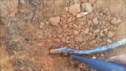 gold nugget with coiltek 18" elite